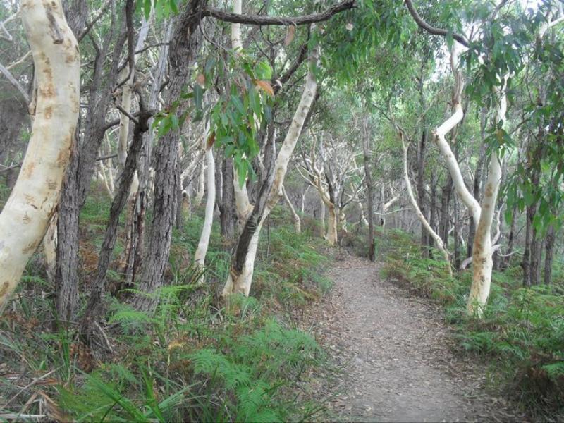 Sanddancers Bed & Breakfast In Jervis Bay Vincentia Bagian luar foto
